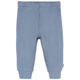 2-Piece Baby Boys Troposphere Top and Active Pant Set-Gerber Childrenswear Wholesale