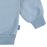 2-Piece Baby & Toddler Boys Blue Fleece Set-Gerber Childrenswear Wholesale
