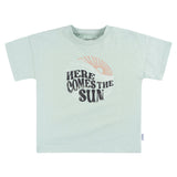 CASE of 2-Piece Toddler Boys Sun Shirt & Shorts Set-Gerber Childrenswear Wholesale