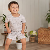 2-Piece Baby & Toddler Boys Heather Skateboard T-Shirt and Shorts Set-Gerber Childrenswear Wholesale