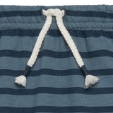 Baby Boys Md Blue Stripe Jogger Pants
