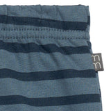 Baby Boys Md Blue Stripe Jogger Pants