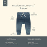 Baby Boys Md Blue Stripe Jogger Pants