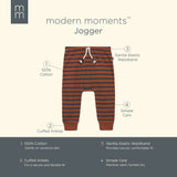 Baby Boys Md Brown Stripe Jogger Pants