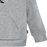 Infant & Toddler Boys Falcons Hoodie-Gerber Childrenswear Wholesale