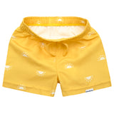 2-Pack Baby & Toddler Boys Suns Swim Trunks-Gerber Childrenswear Wholesale