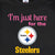 Pittsburgh Steelers Short Sleeve Tee-Gerber Childrenswear Wholesale