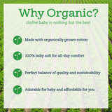 15 pack Organic Grow-With-Me White Onesies® Bodysuit Set-Gerber Childrenswear Wholesale